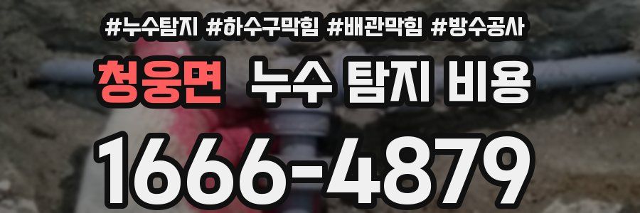 청웅면 누수 탐지 비용