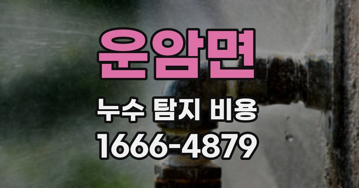 운암면 누수 탐지 비용