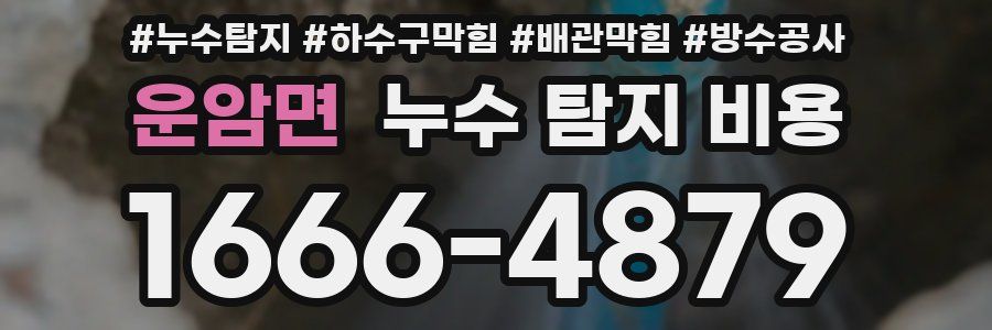 운암면 누수 탐지 비용