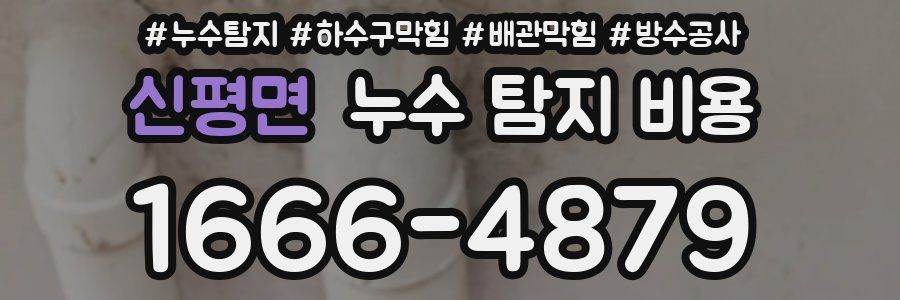 신평면 누수 탐지 비용