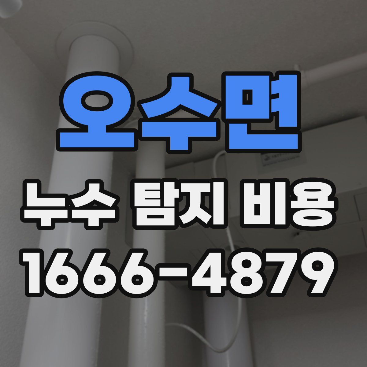 오수면 누수 탐지 비용