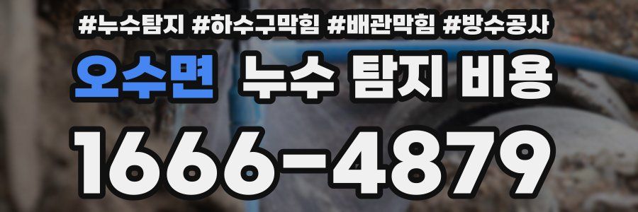 오수면 누수 탐지 비용