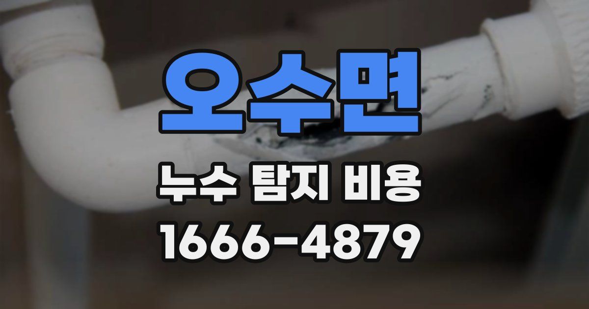 오수면 누수 탐지 비용