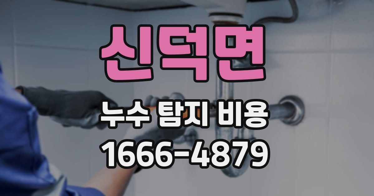 신덕면 누수 탐지 비용