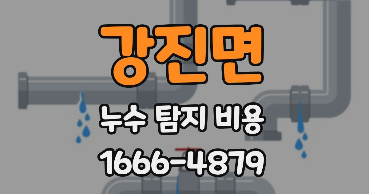 강진면 누수 탐지 비용