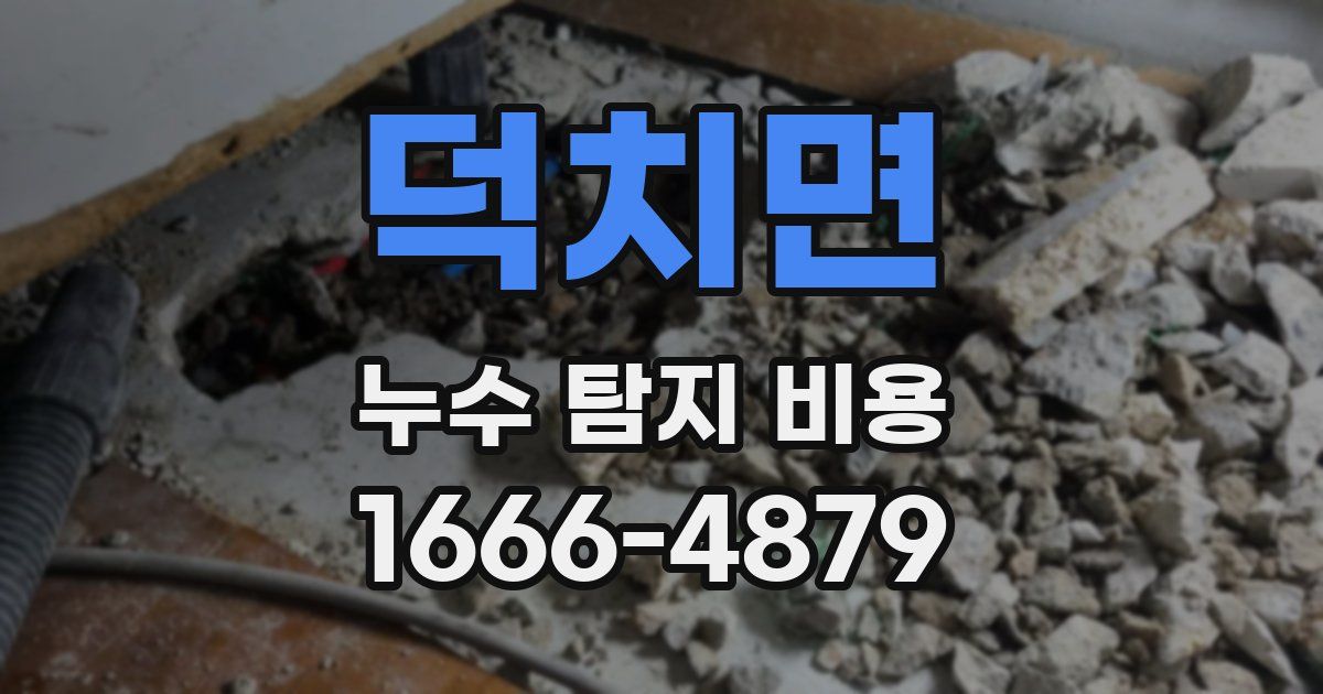 덕치면 누수 탐지 비용