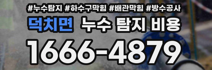 덕치면 누수 탐지 비용