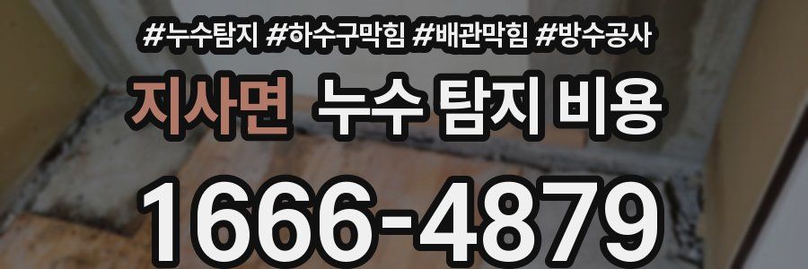 지사면 누수 탐지 비용