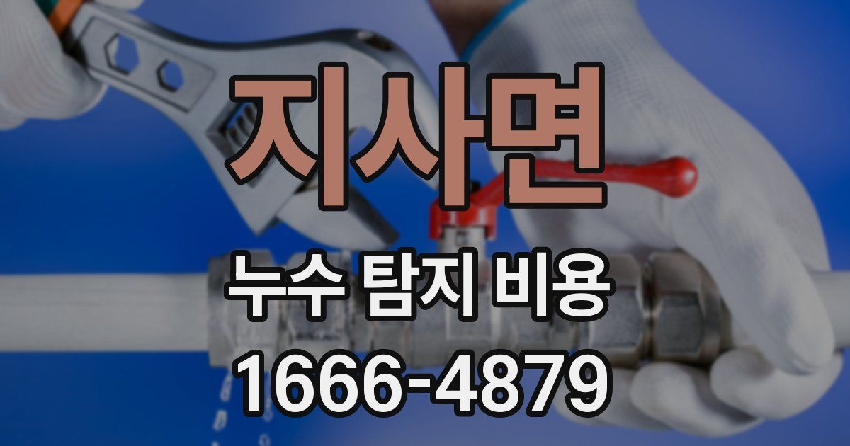 지사면 누수 탐지 비용