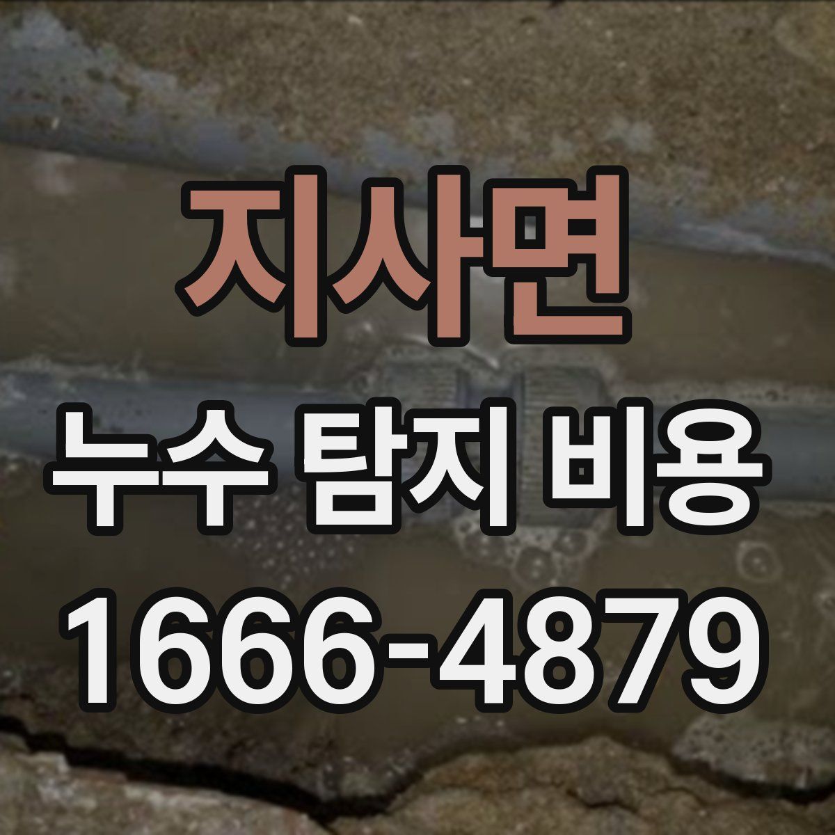 지사면 누수 탐지 비용