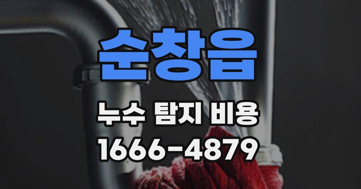 순창읍 누수 탐지 비용