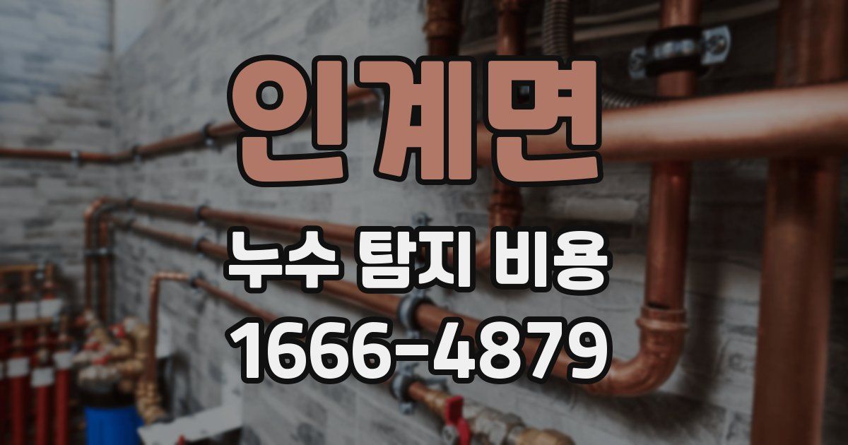 인계면 누수 탐지 비용