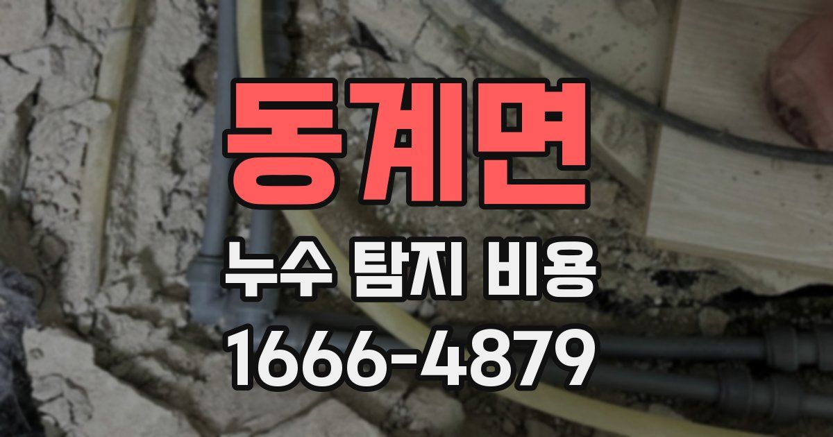 동계면 누수 탐지 비용