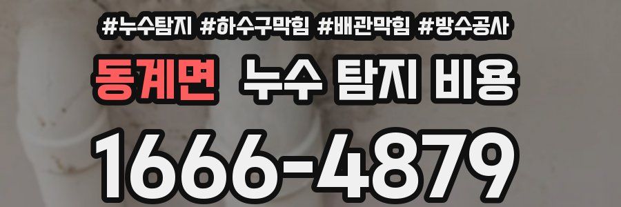 동계면 누수 탐지 비용