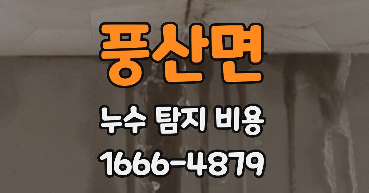 풍산면 누수 탐지 비용