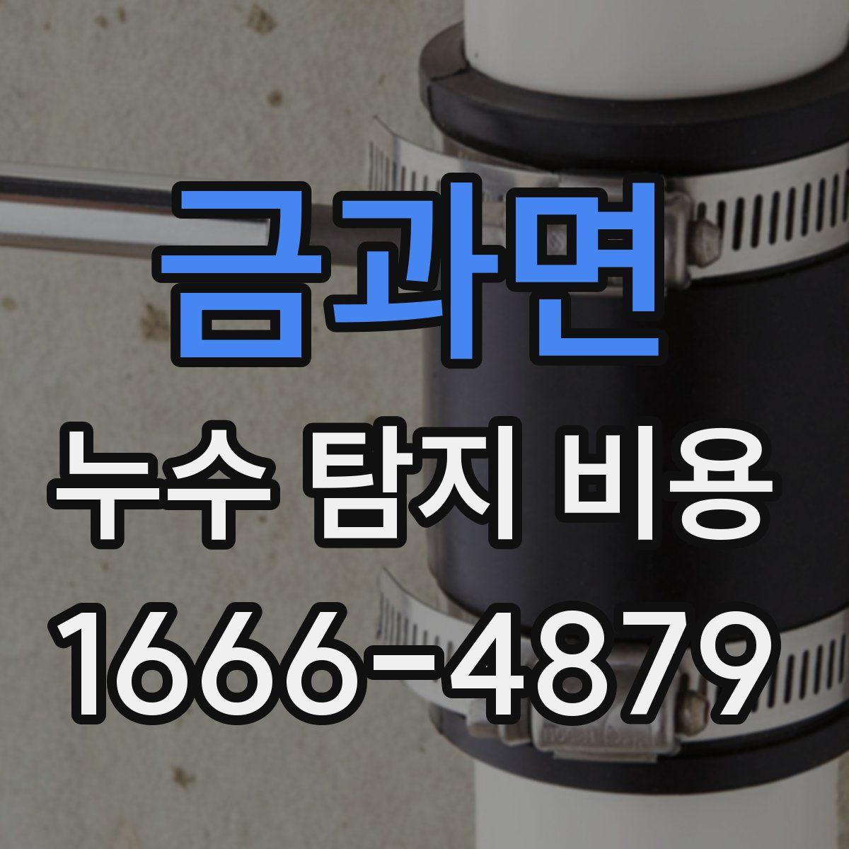 금과면 누수 탐지 비용