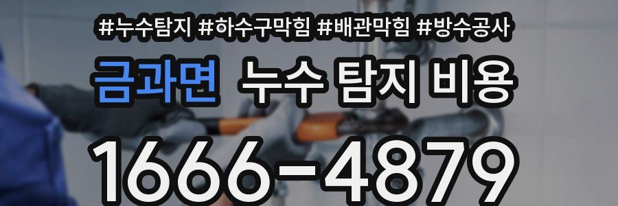 금과면 누수 탐지 비용