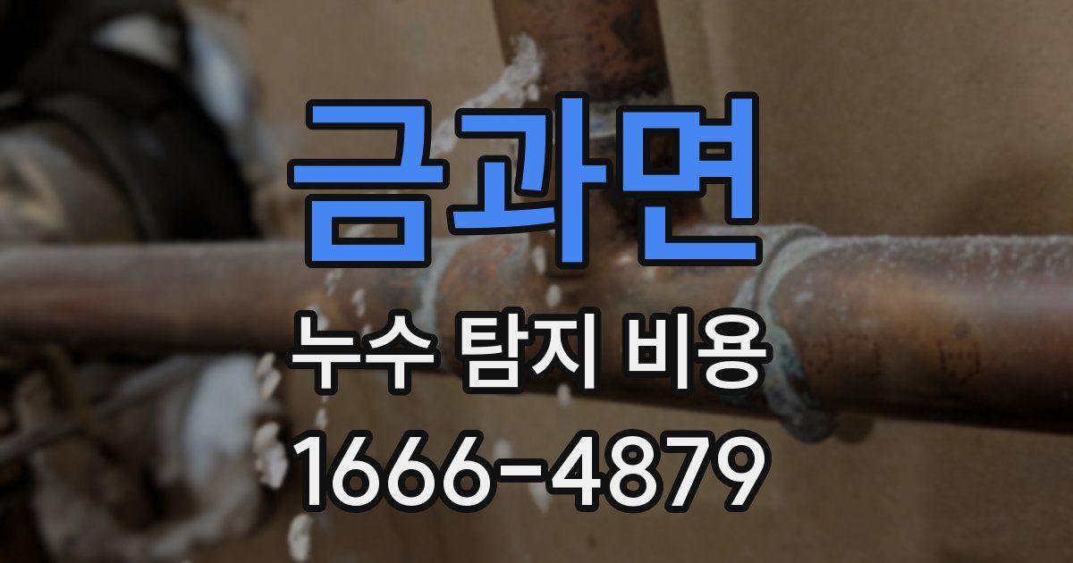 금과면 누수 탐지 비용