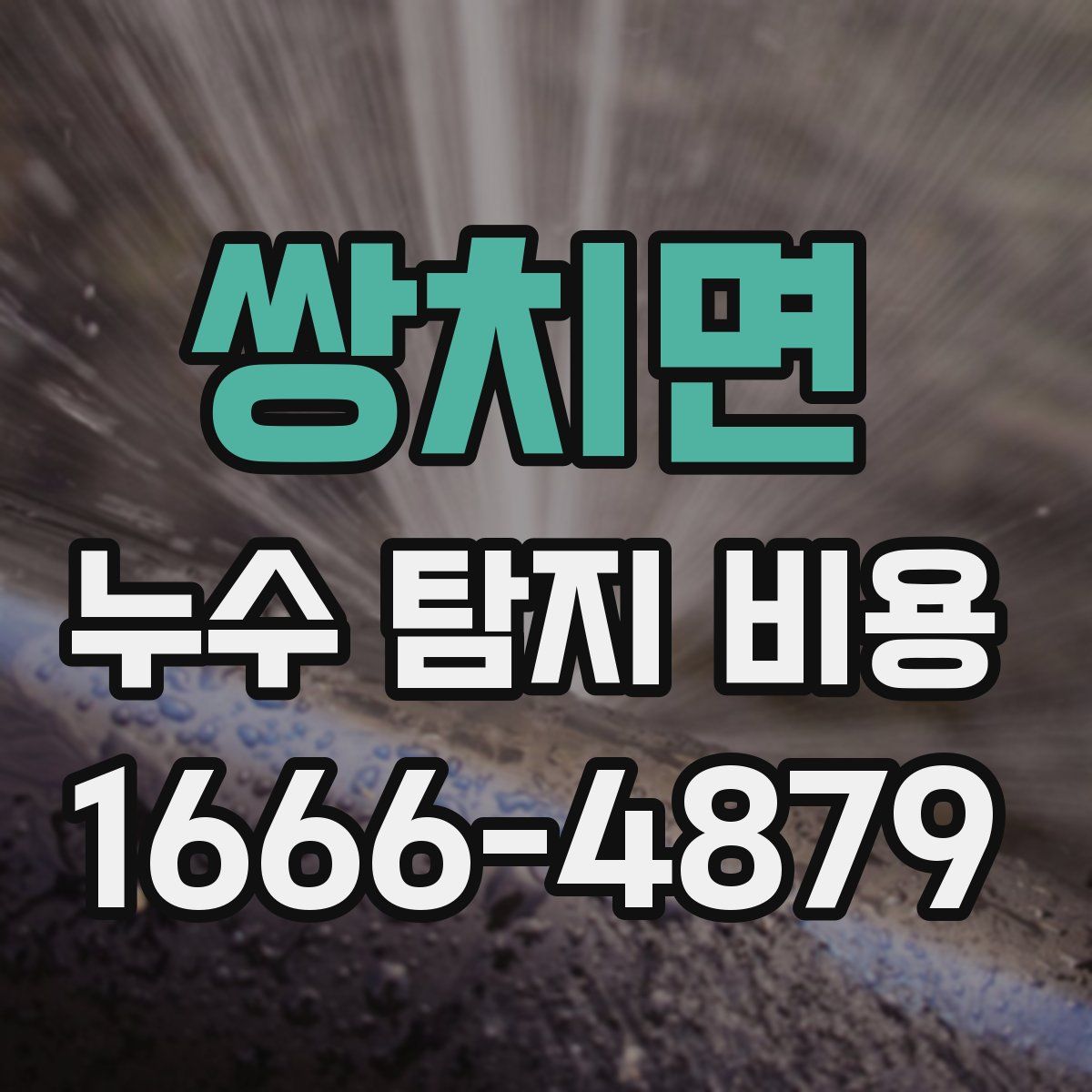 쌍치면 누수 탐지 비용