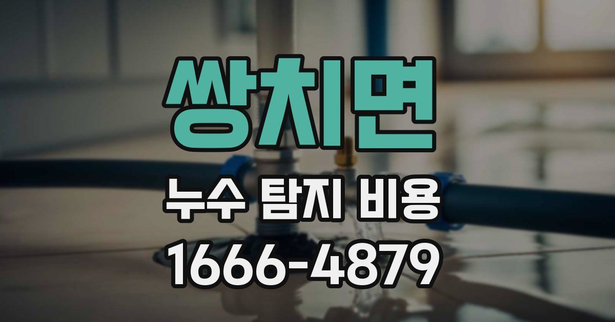 쌍치면 누수 탐지 비용