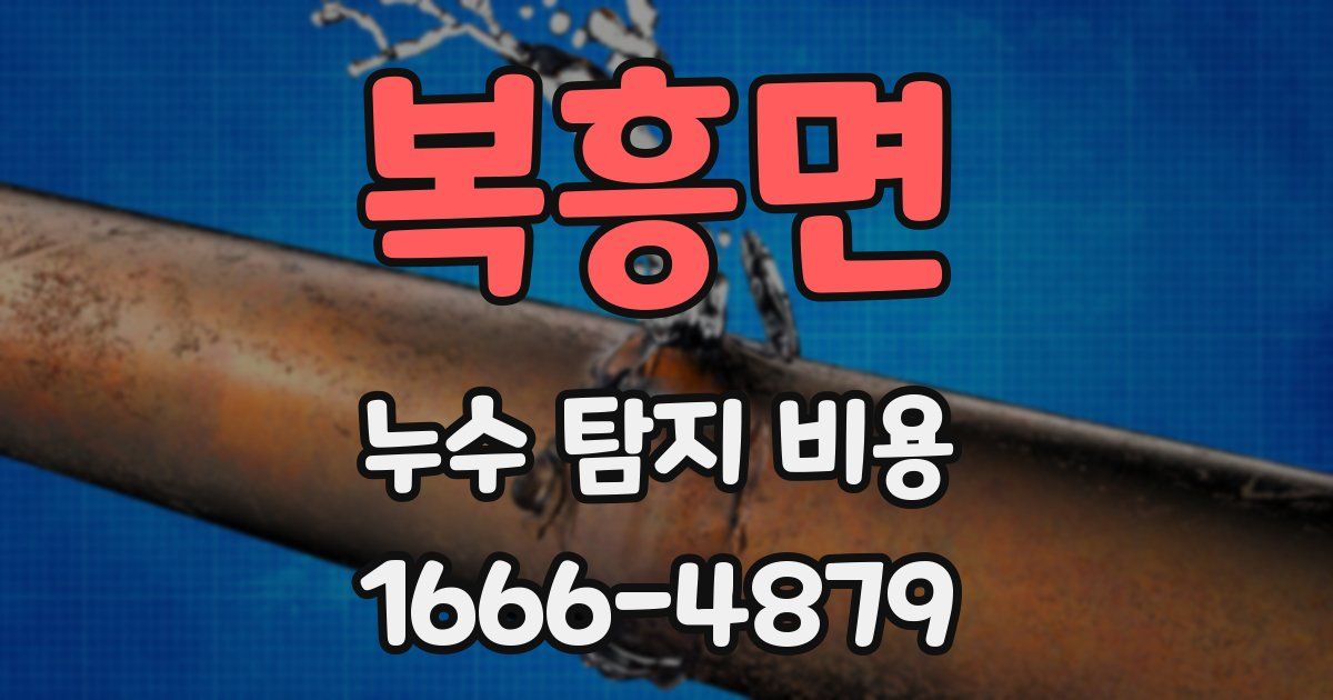 복흥면 누수 탐지 비용