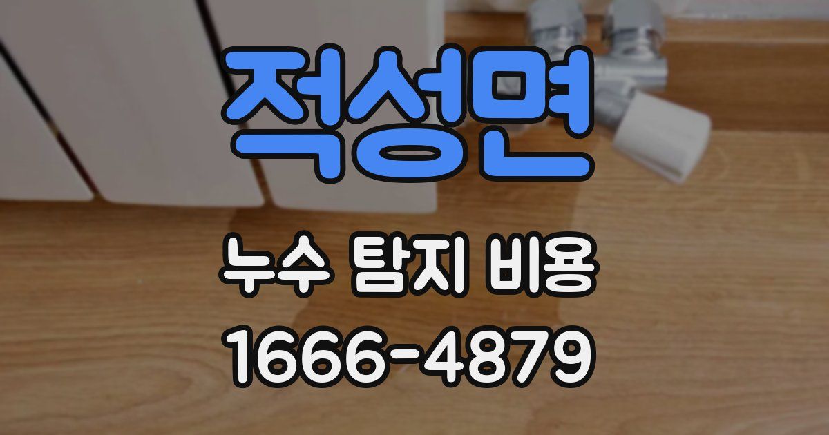 적성면 누수 탐지 비용
