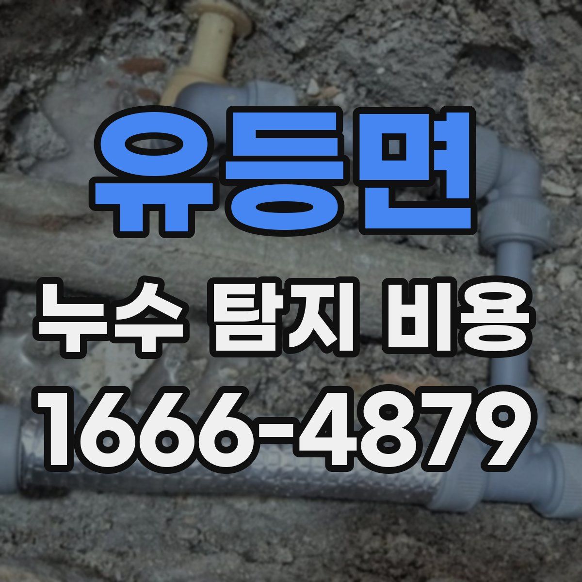 유등면 누수 탐지 비용