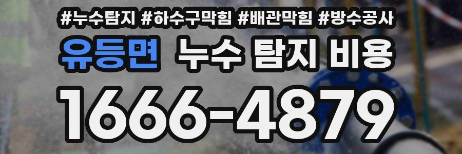 유등면 누수 탐지 비용