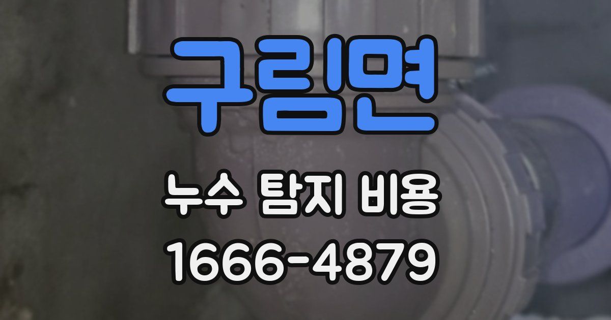 구림면 누수 탐지 비용