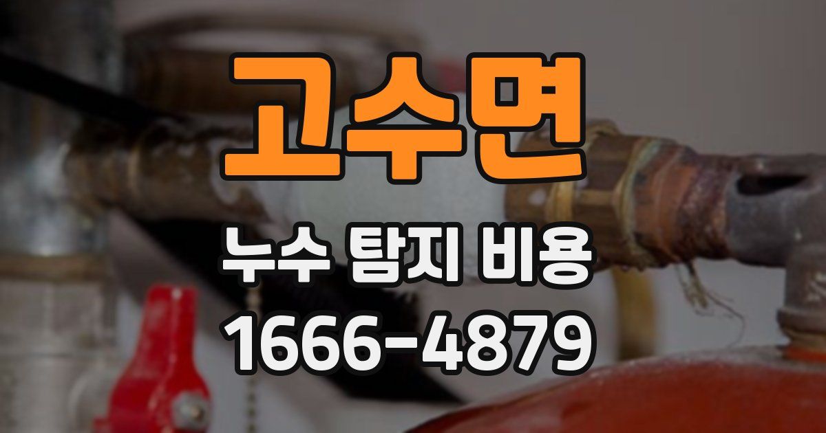 고수면 누수 탐지 비용
