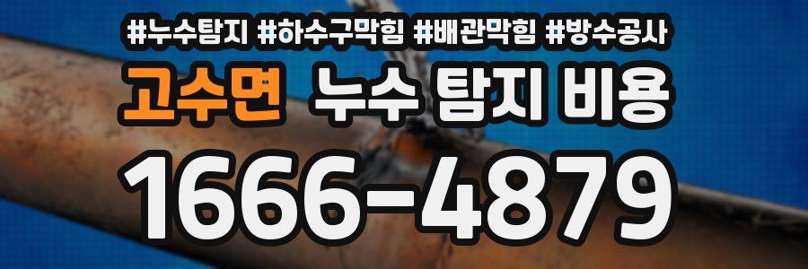고수면 누수 탐지 비용