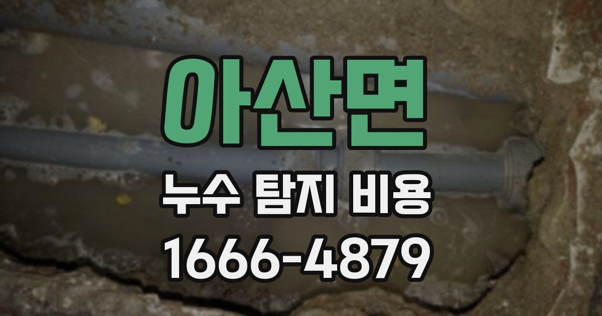 아산면 누수 탐지 비용
