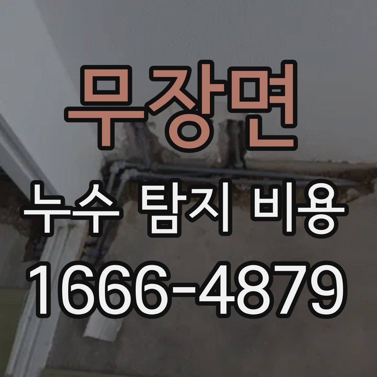 무장면 누수 탐지 비용