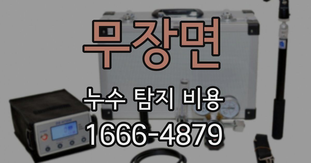 무장면 누수 탐지 비용