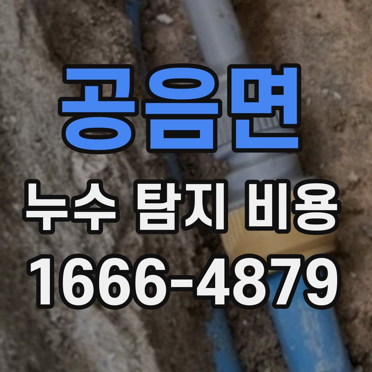 공음면 누수 탐지 비용