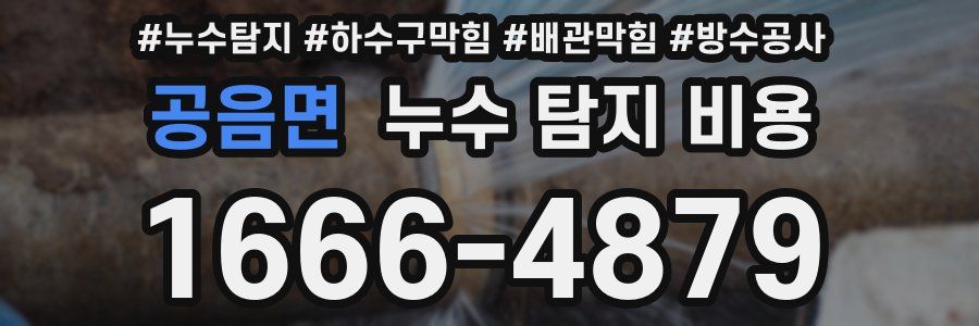 공음면 누수 탐지 비용