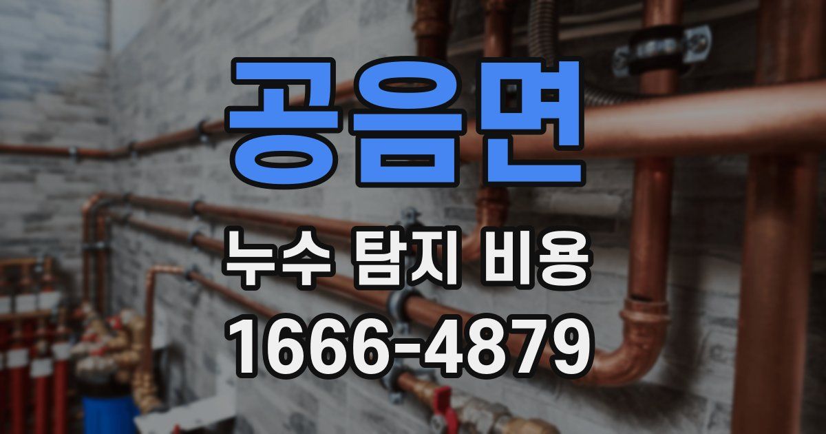 공음면 누수 탐지 비용