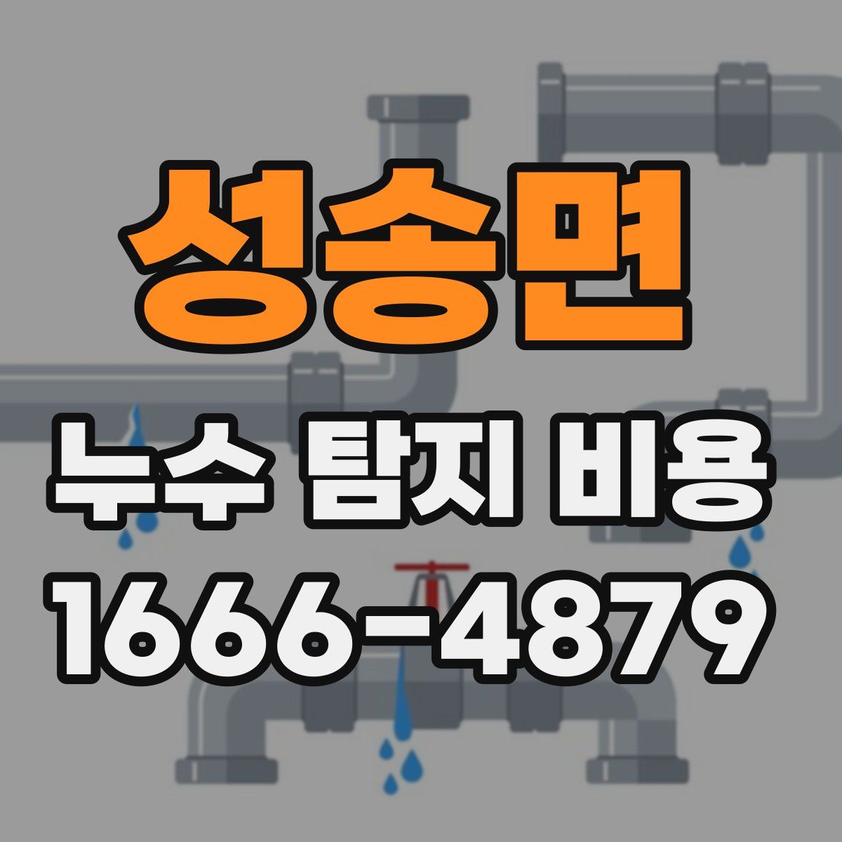 성송면 누수 탐지 비용