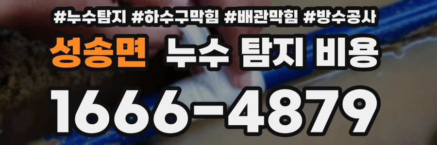 성송면 누수 탐지 비용