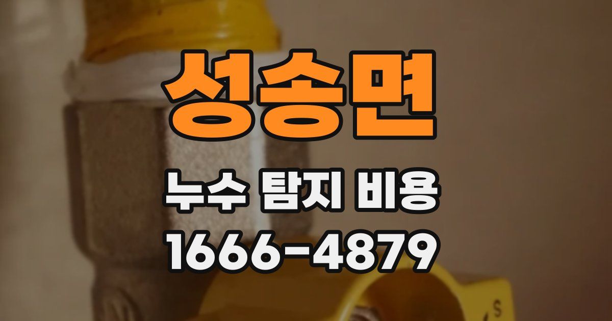 성송면 누수 탐지 비용