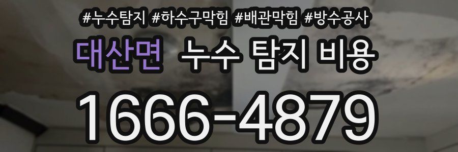 대산면 누수 탐지 비용