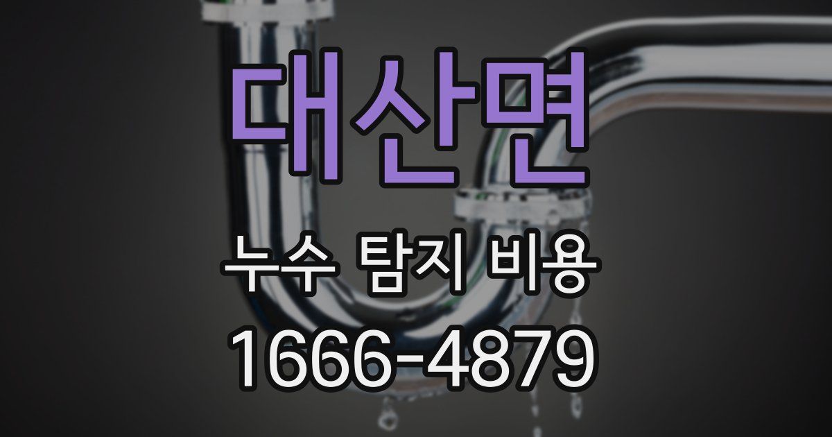 대산면 누수 탐지 비용