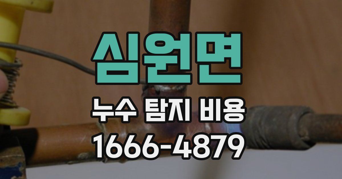 심원면 누수 탐지 비용