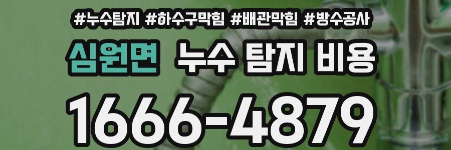 심원면 누수 탐지 비용