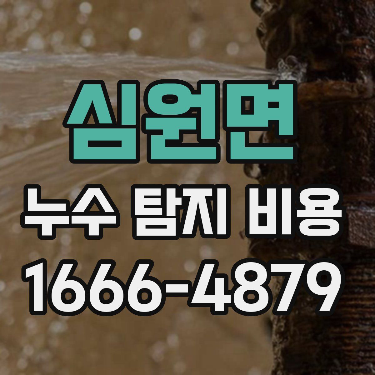 심원면 누수 탐지 비용