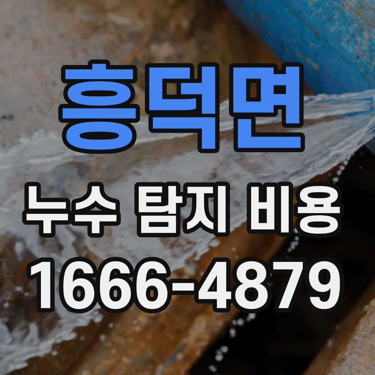 흥덕면 누수 탐지 비용