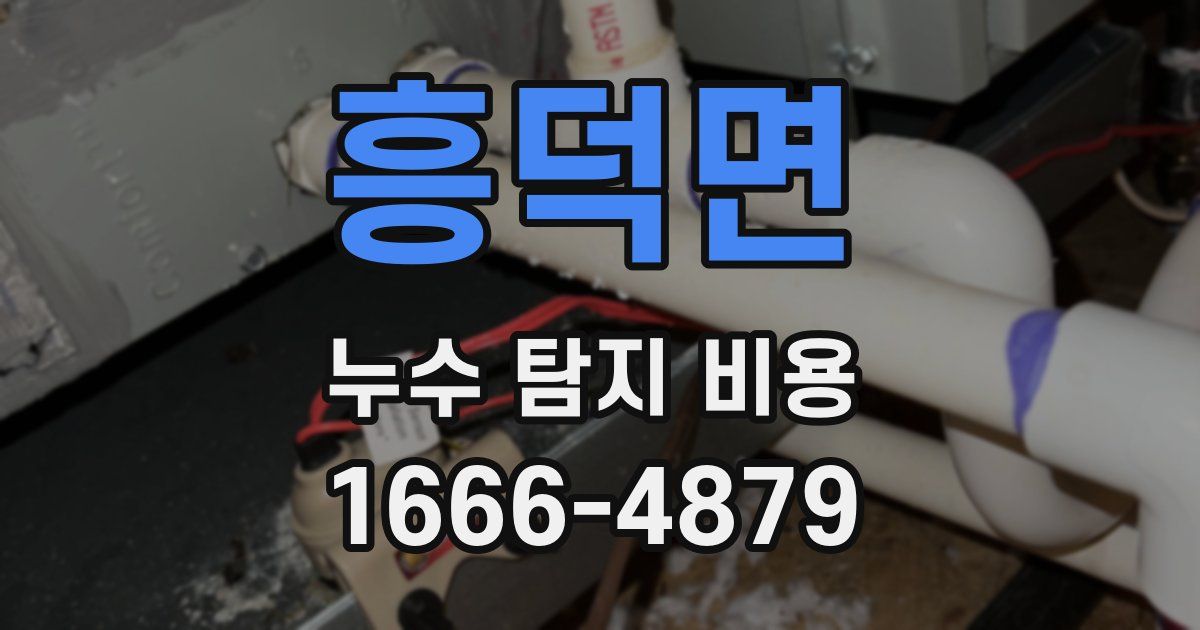 흥덕면 누수 탐지 비용