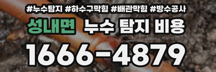 성내면 누수 탐지 비용