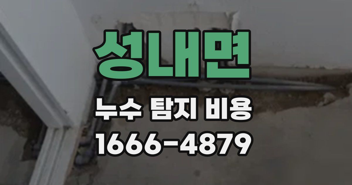 성내면 누수 탐지 비용