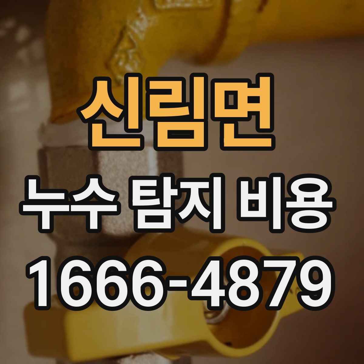 신림면 누수 탐지 비용